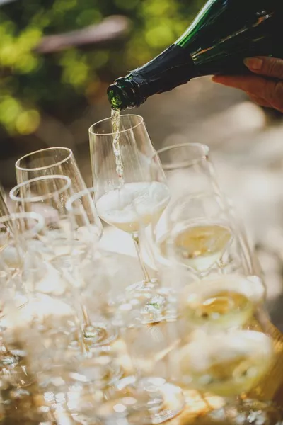 Das Produktbild von Offene Weinpobe im Weingut am Donnerstag, den 16.10.2025
