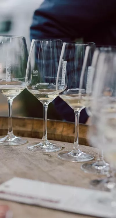 Das Produktbild von Offene Weinpobe im Weingut am Donnerstag, den 04.09.2025